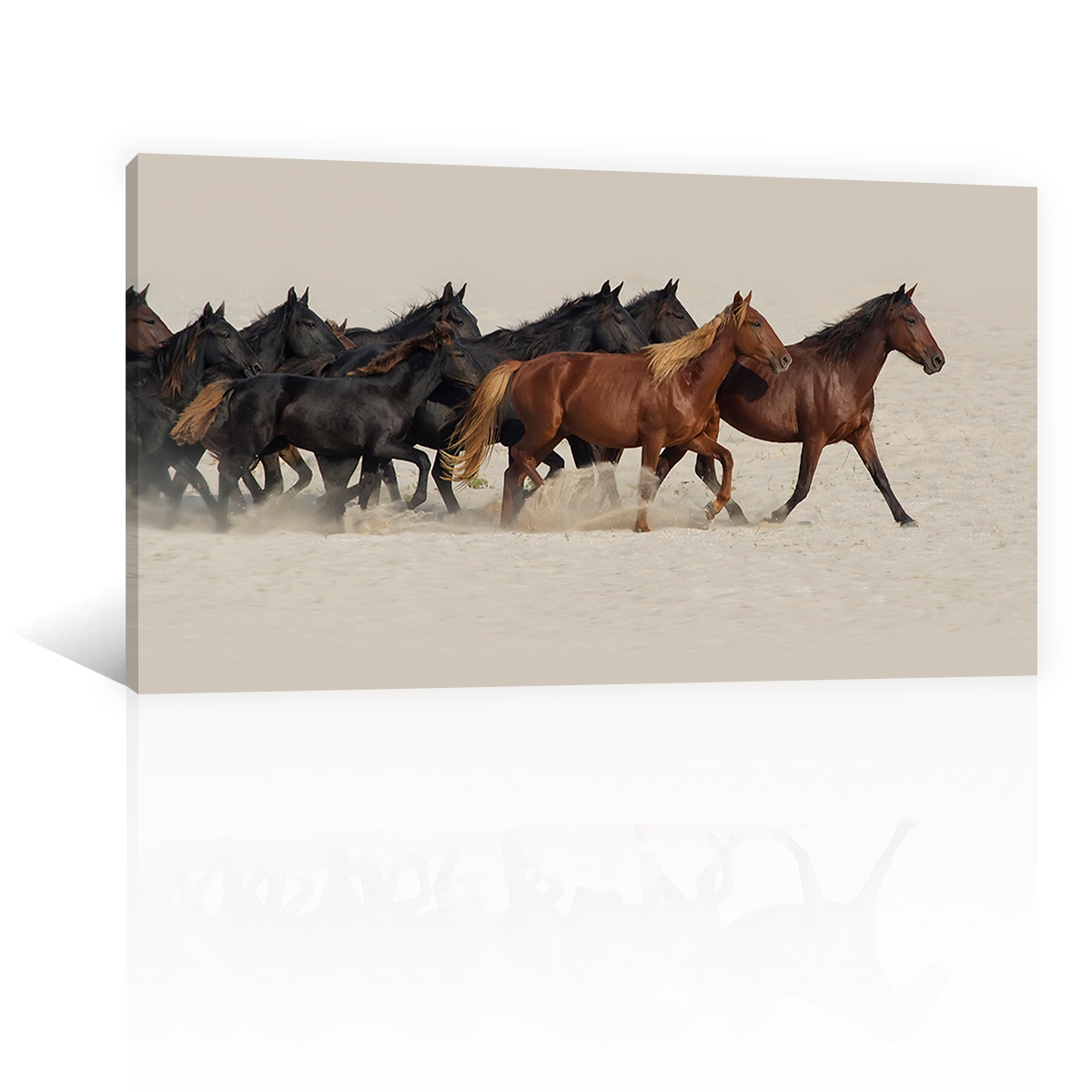 Caballos En El Desierto