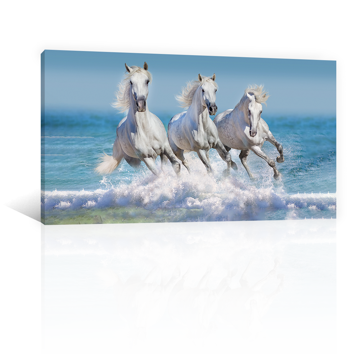 Caballos En La Playa