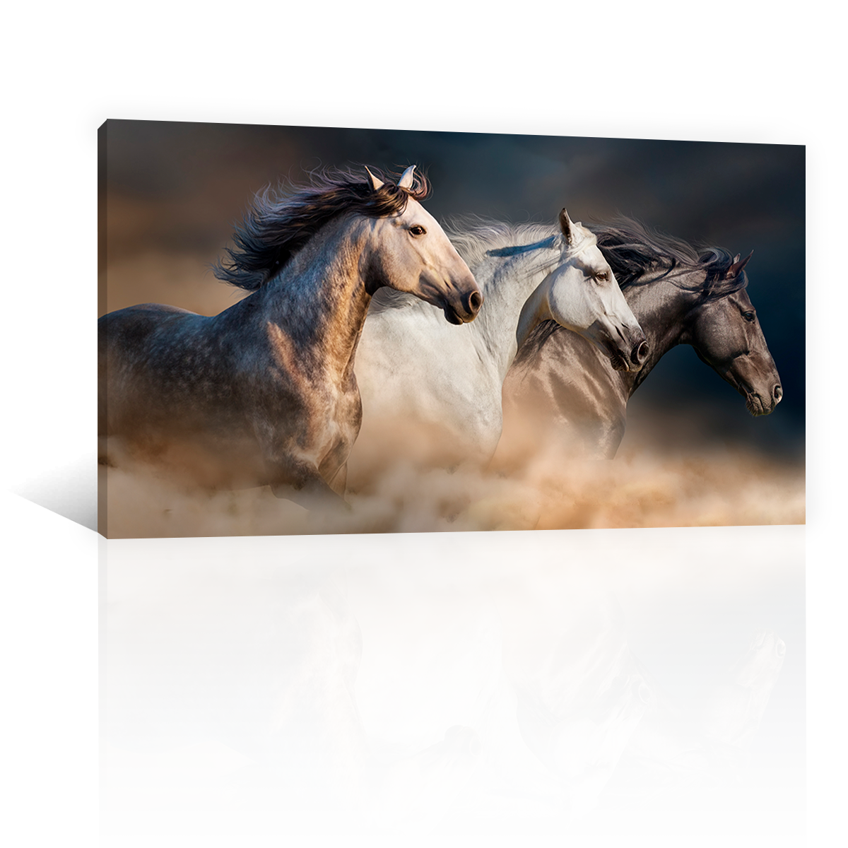 Caballos Galopando