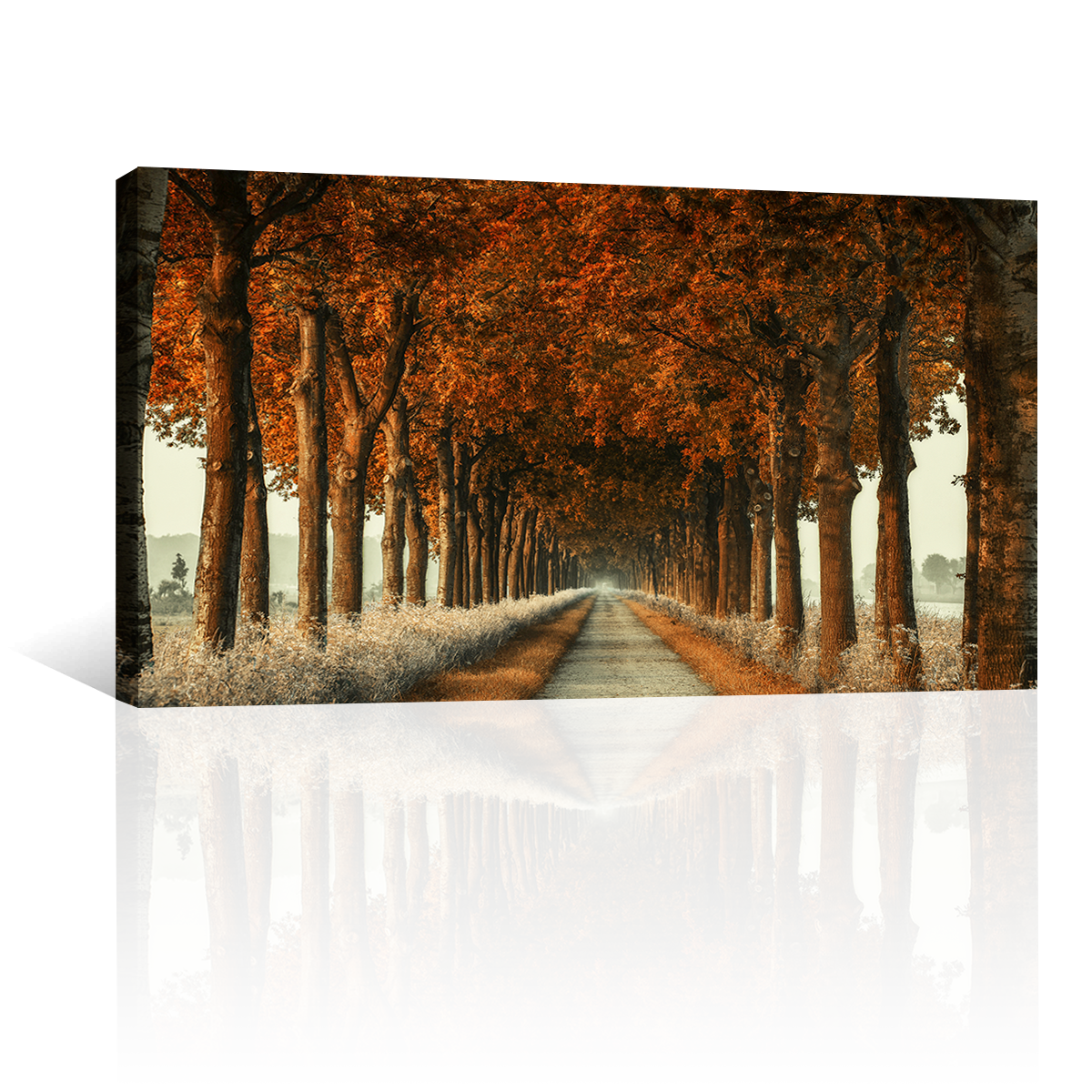 Camino De Otoño