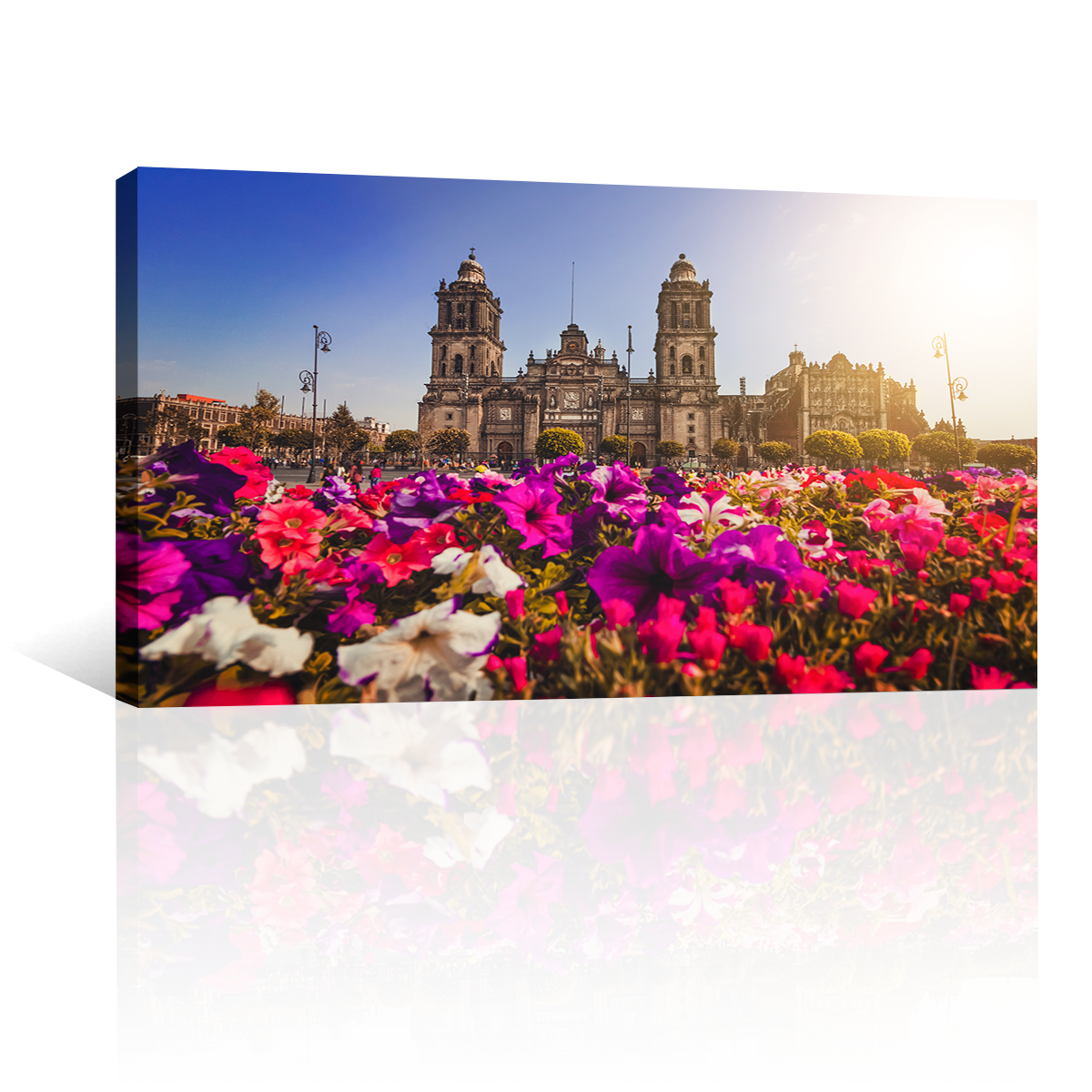 Catedral De Mexico CDMX