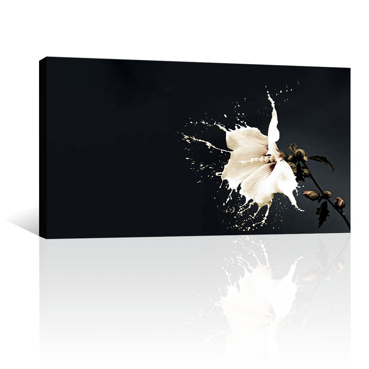 Flor Blanca de Pintura