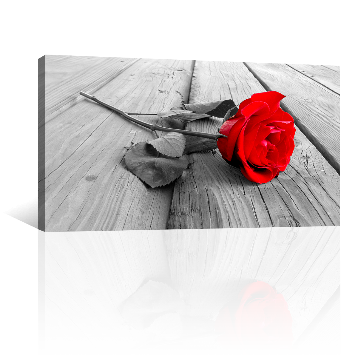 Rosa Roja Madera