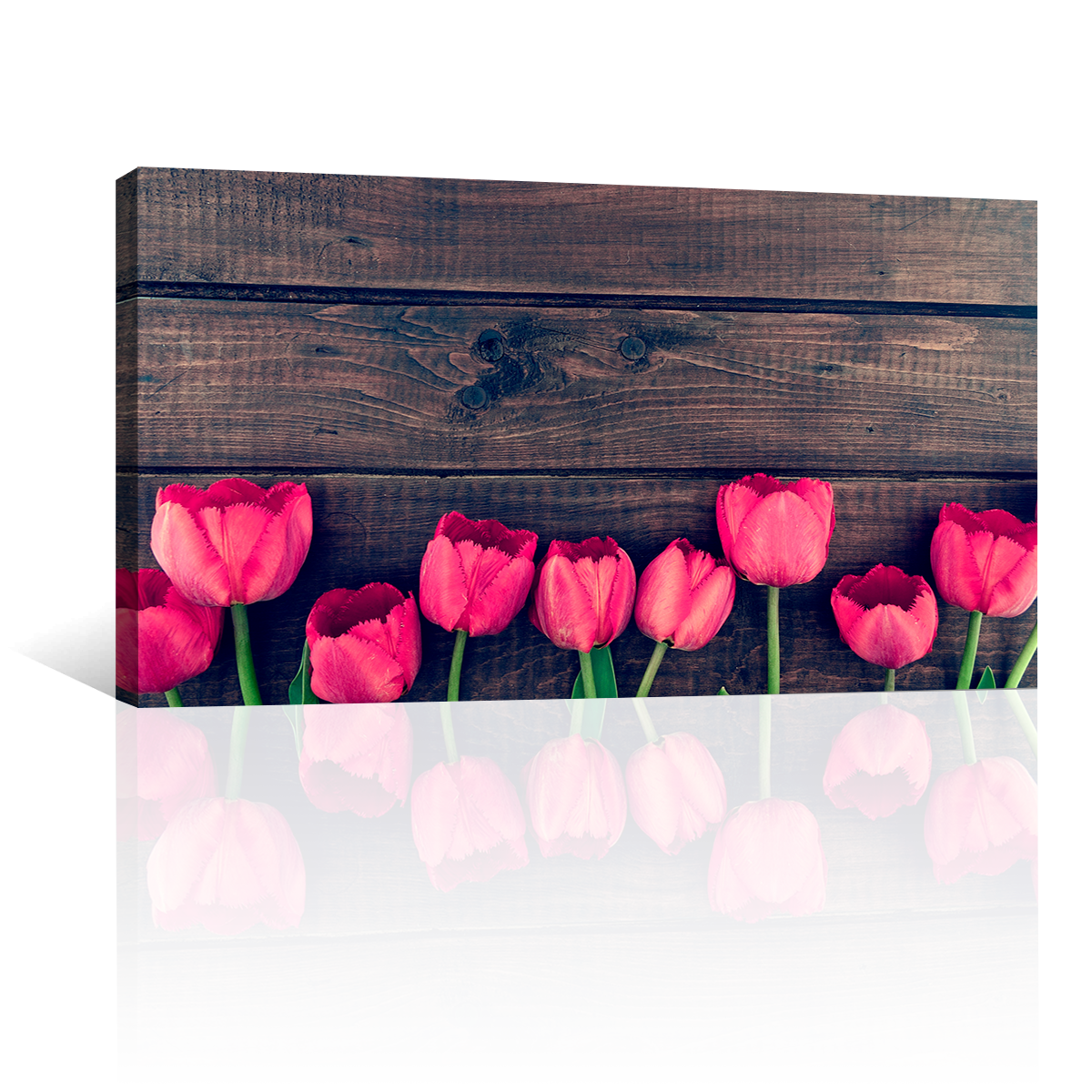 Tulipanes Rustic