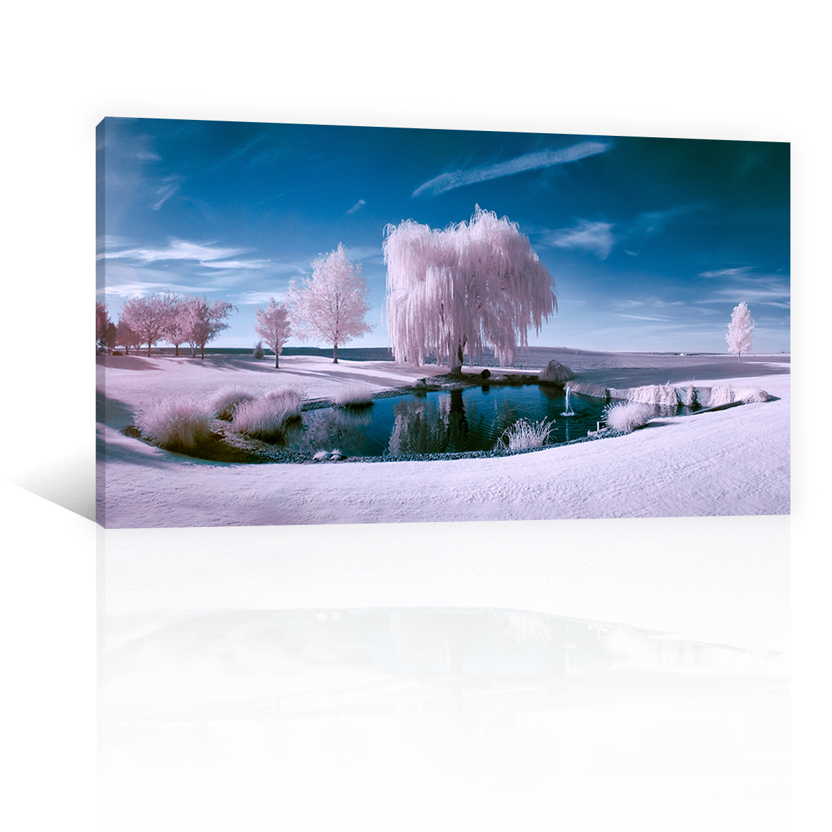 Bosque De Hielo Con Lago