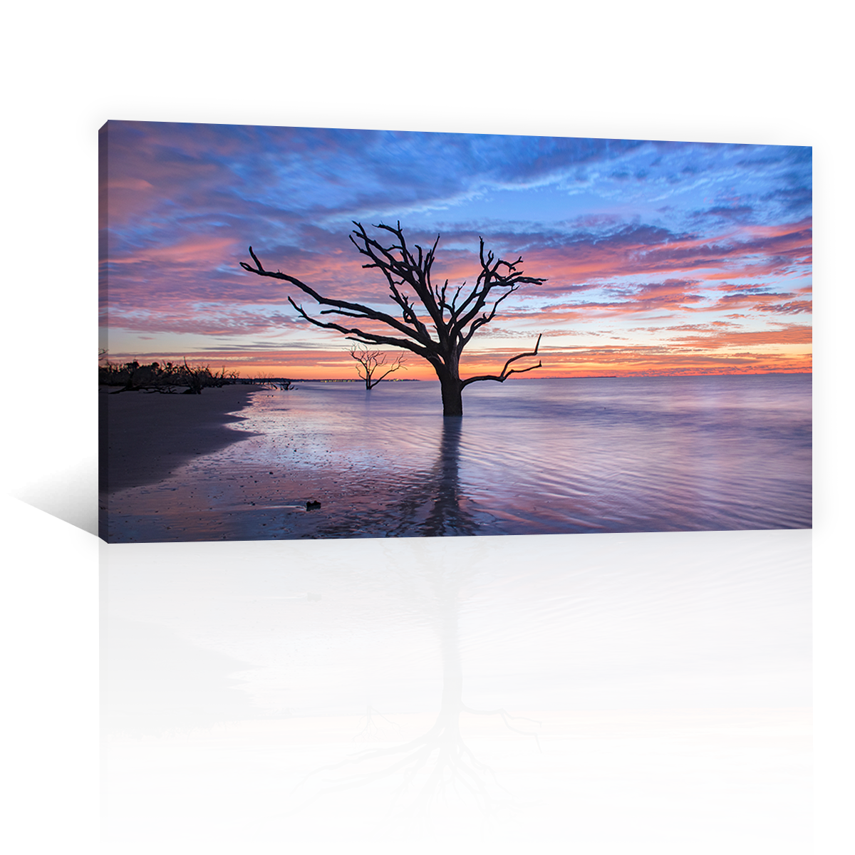 Playa Isla De Edisto Mar