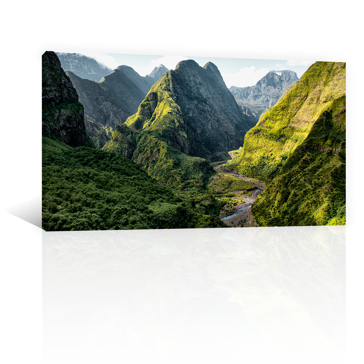 Montañas Rio Y Arboles
