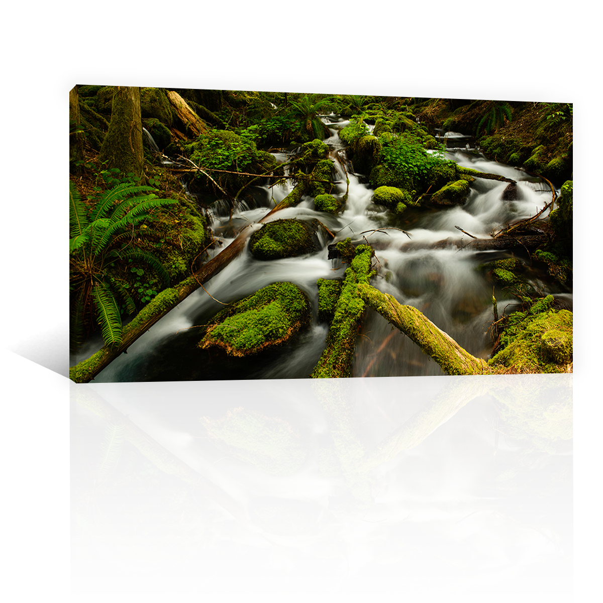 Cascada Rio Sobre Rocas