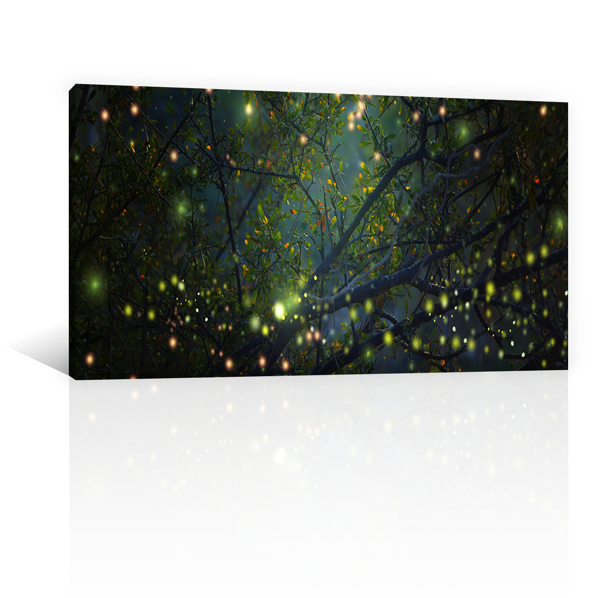 Bosque Con Luciernagas