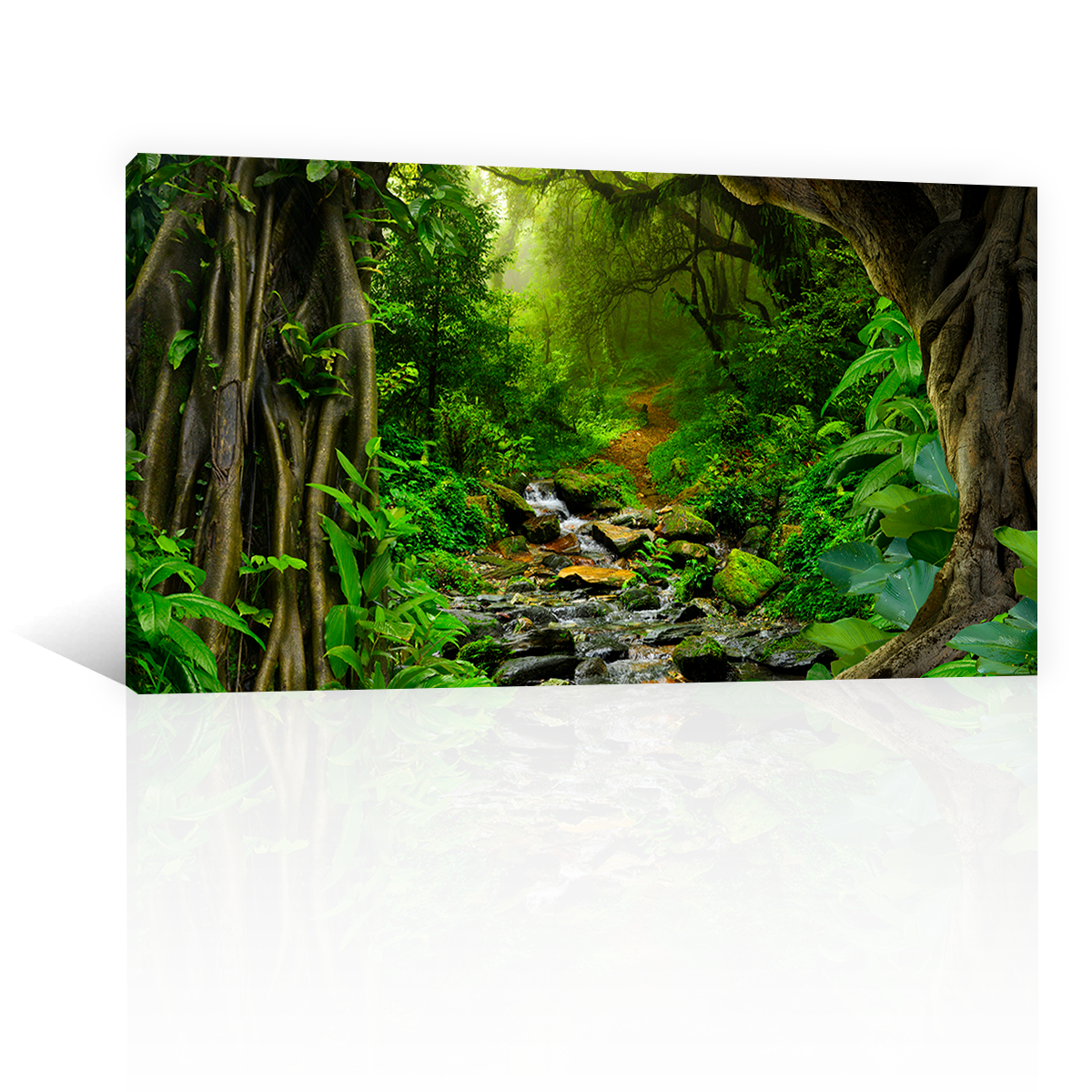 Bosque Tropical