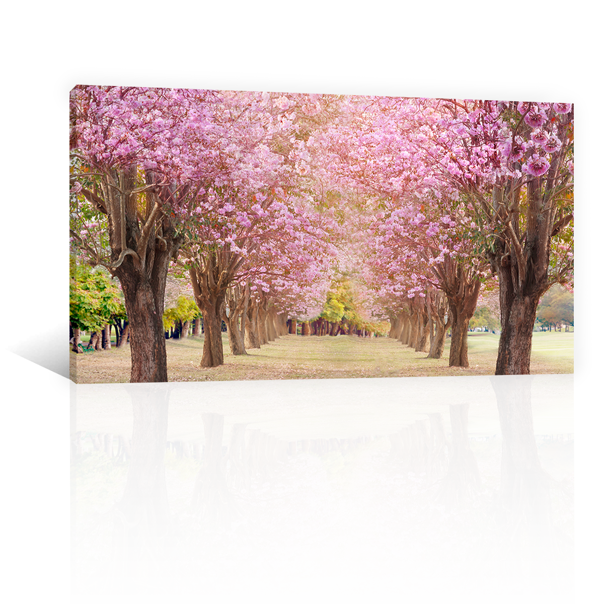 Bosque De Cerezos Rosas