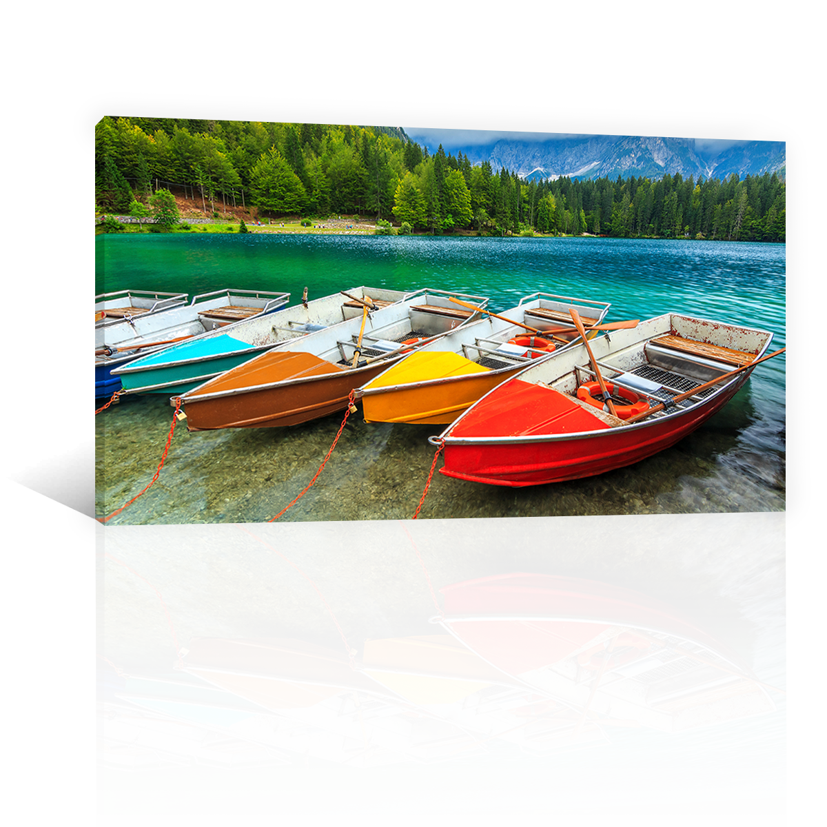 Botes Coloridos