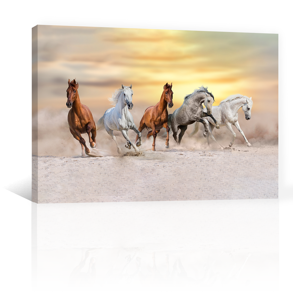 Caballos Bajo Al Atardecer