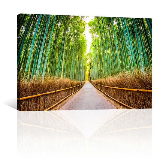 Bamboo Bosque