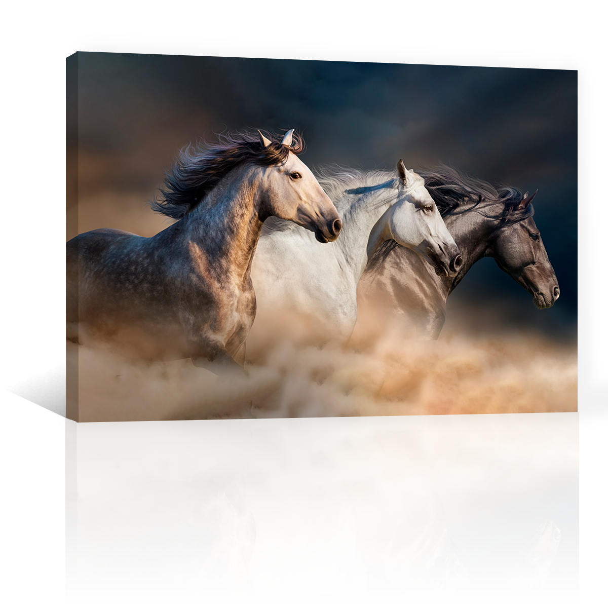 Caballos Galopando