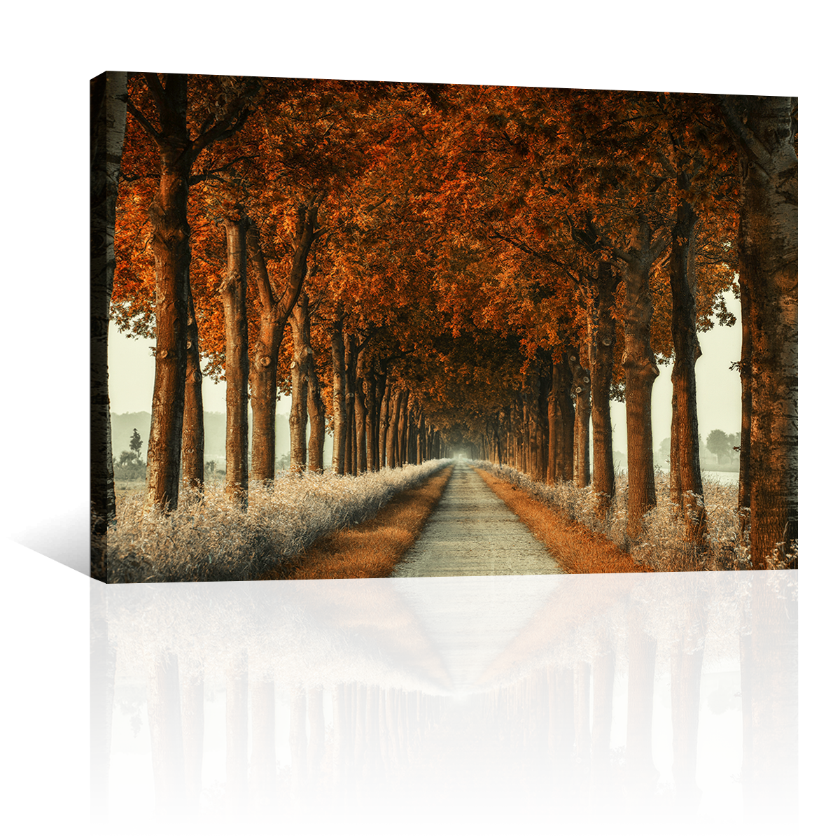Camino De Otoño