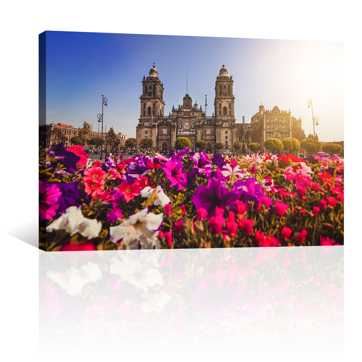 Catedral De Mexico CDMX