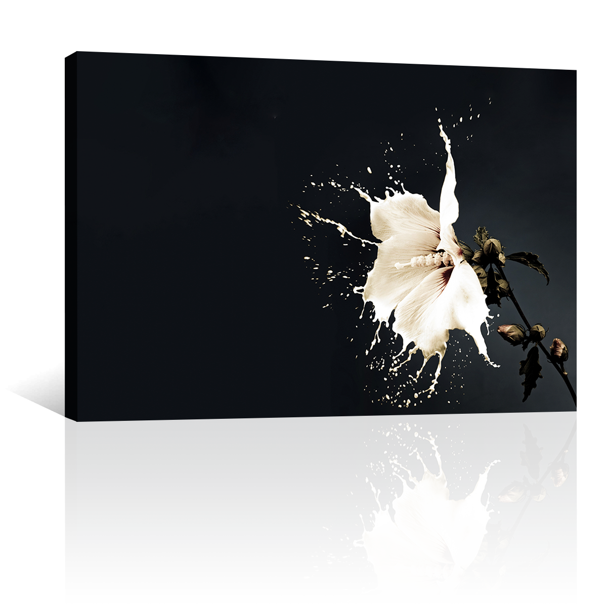 Flor Blanca de Pintura