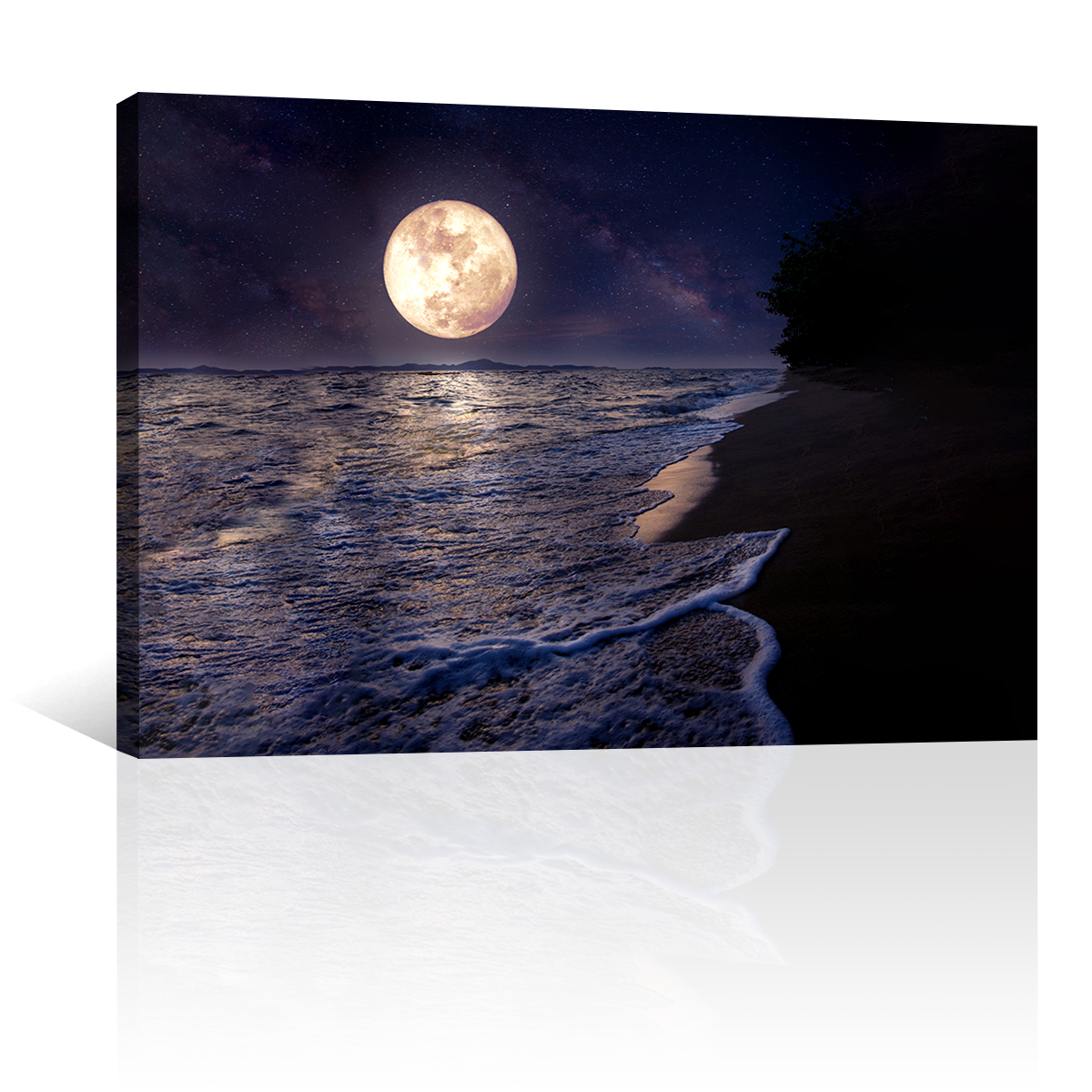 Mar Luna Llena Luz
