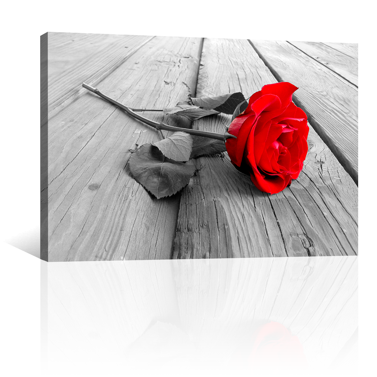 Rosa Roja Madera