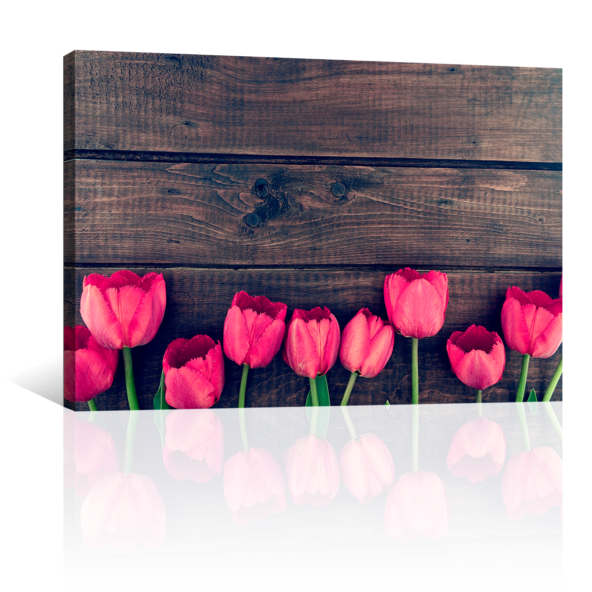 Tulipanes Rustic