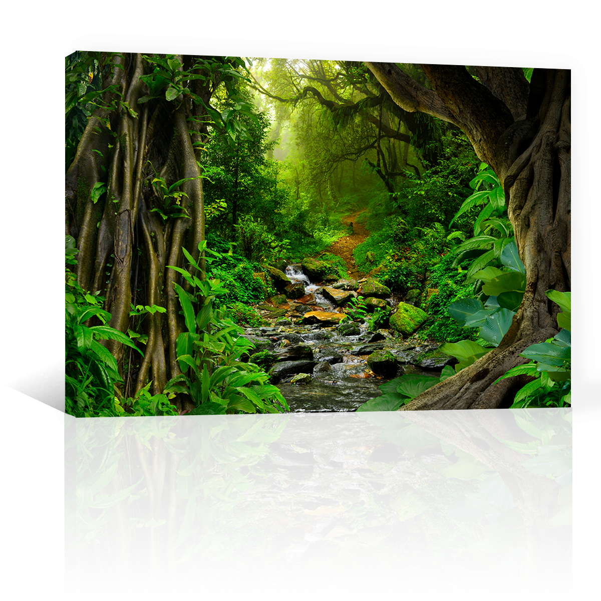 Bosque Tropical