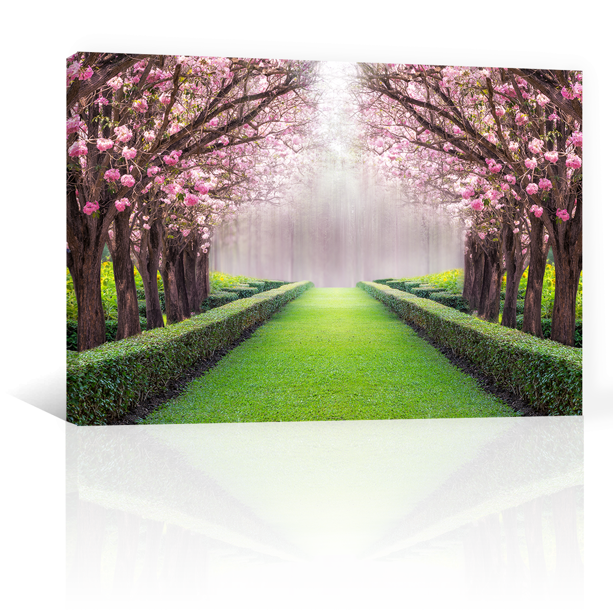 Tunel Romantico