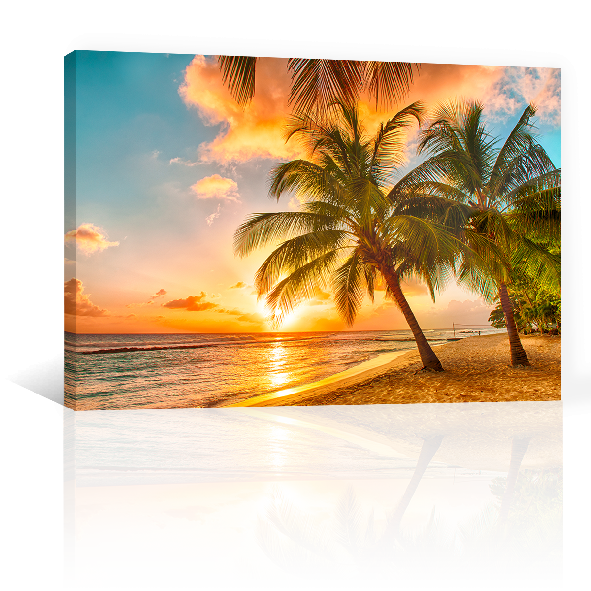 Playa Mar Palmera