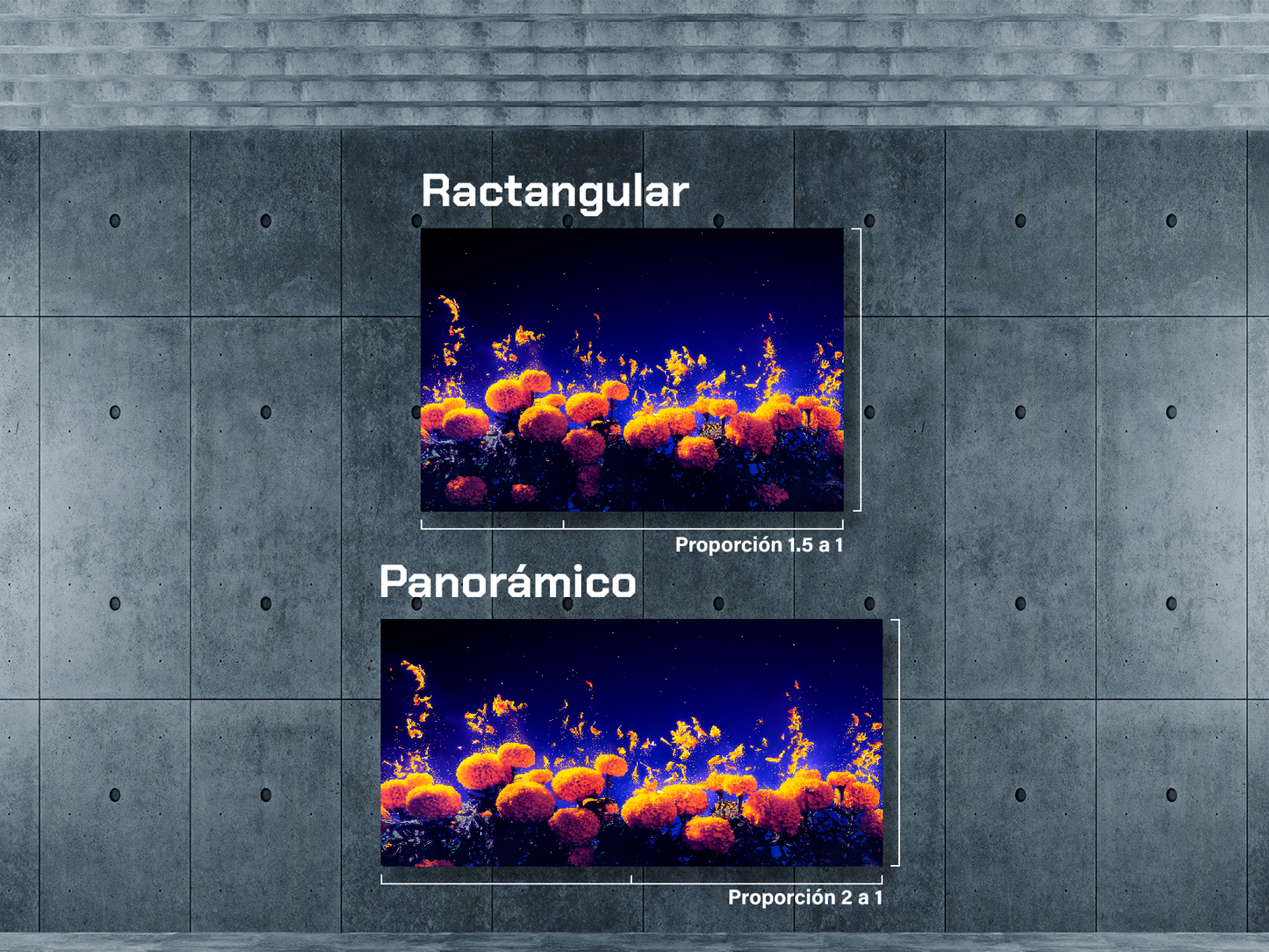 Hojas de cempasúchil en cielo azul