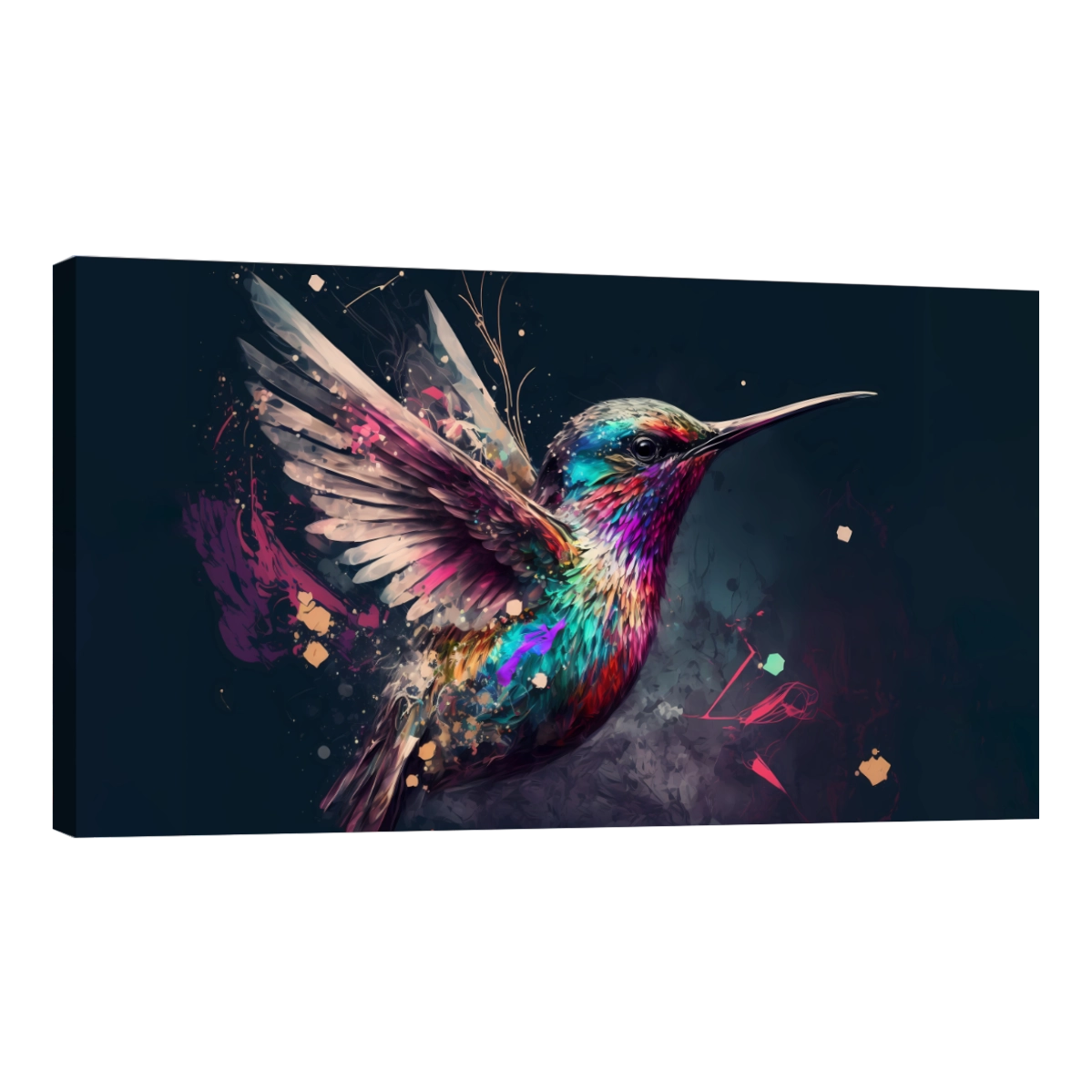 Colibri Colorido