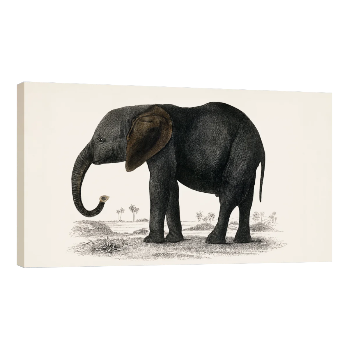 Historia De La Tierra Y La Naturaleza Animada Por Oliver Goldsmith
