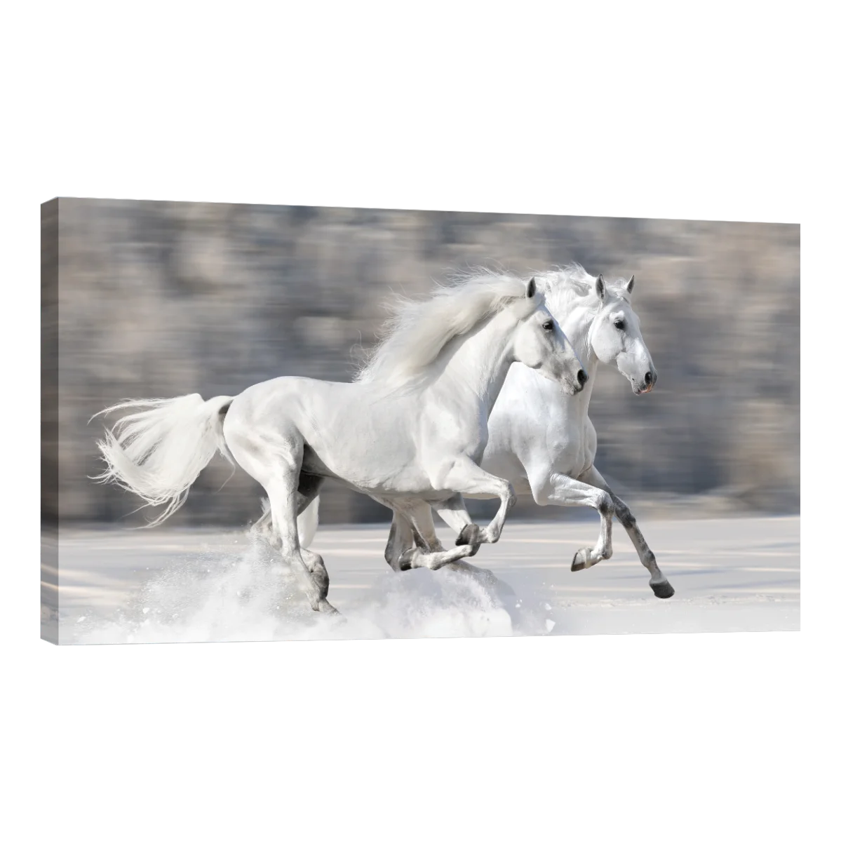 Caballos Blancos Corriendo