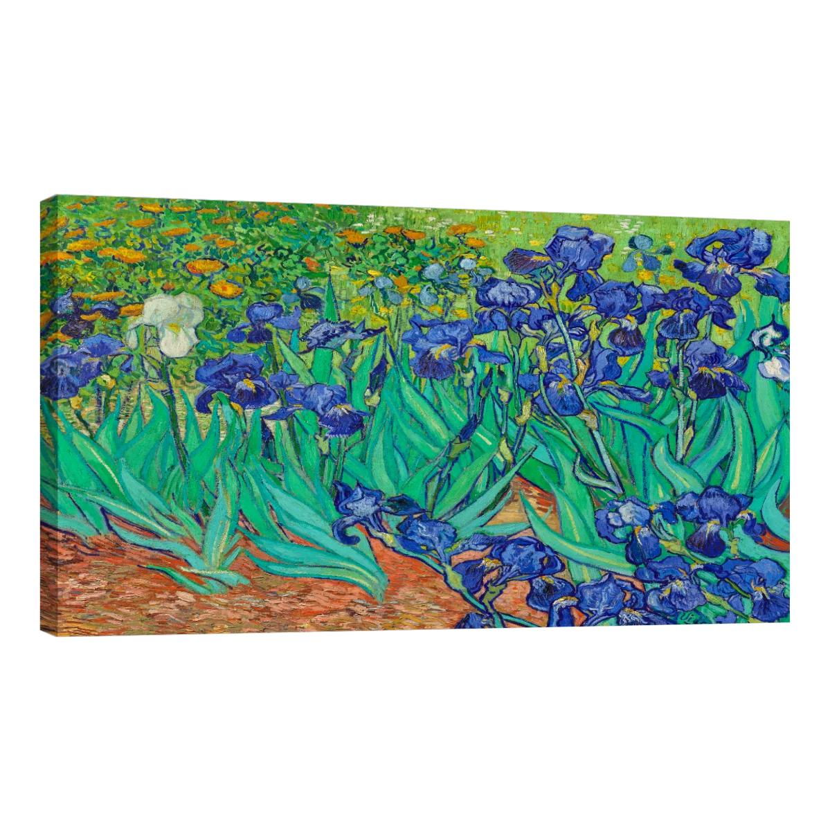Arte Lirios Por Vincent Van Gogh