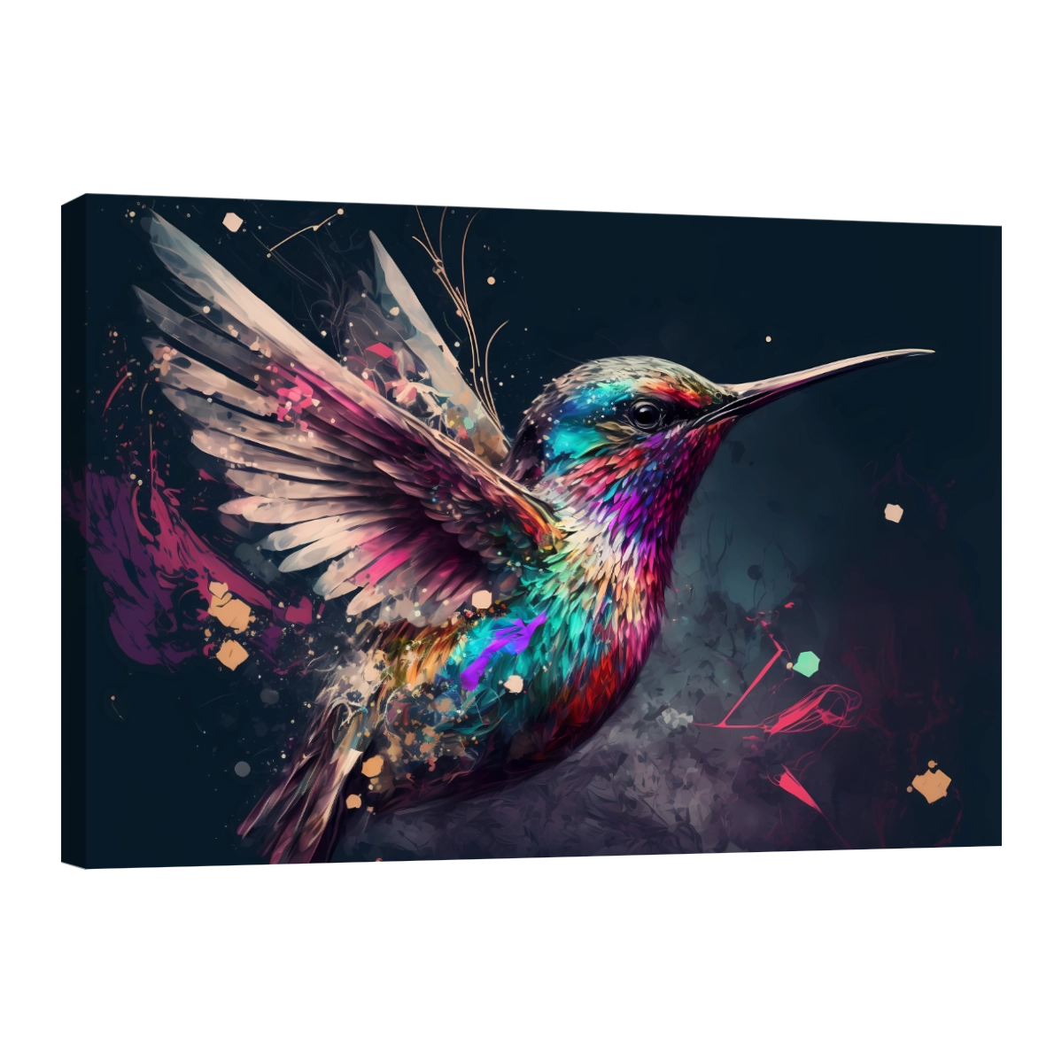 Colibri Colorido
