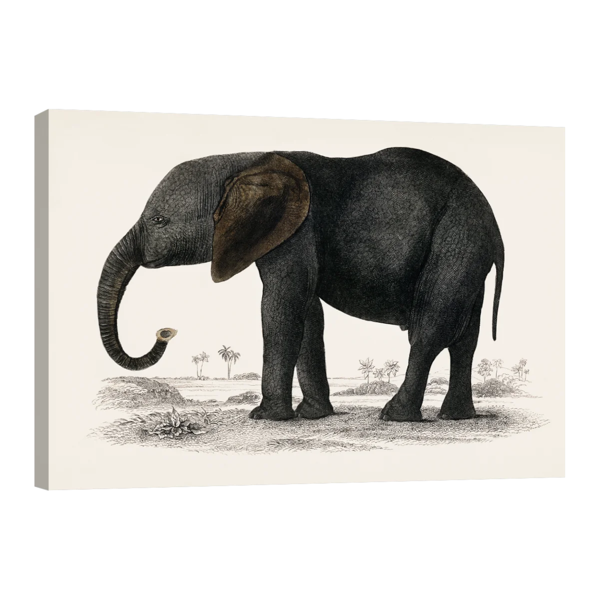 Historia De La Tierra Y La Naturaleza Animada Por Oliver Goldsmith