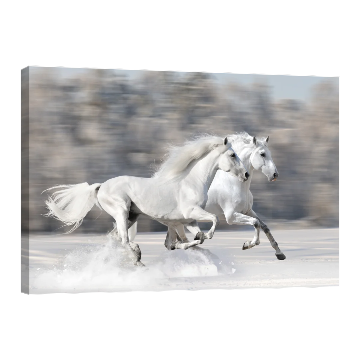Caballos Blancos Corriendo