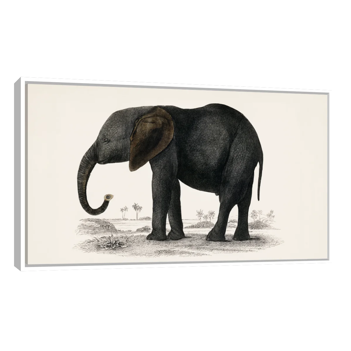 Historia De La Tierra Y La Naturaleza Animada Por Oliver Goldsmith