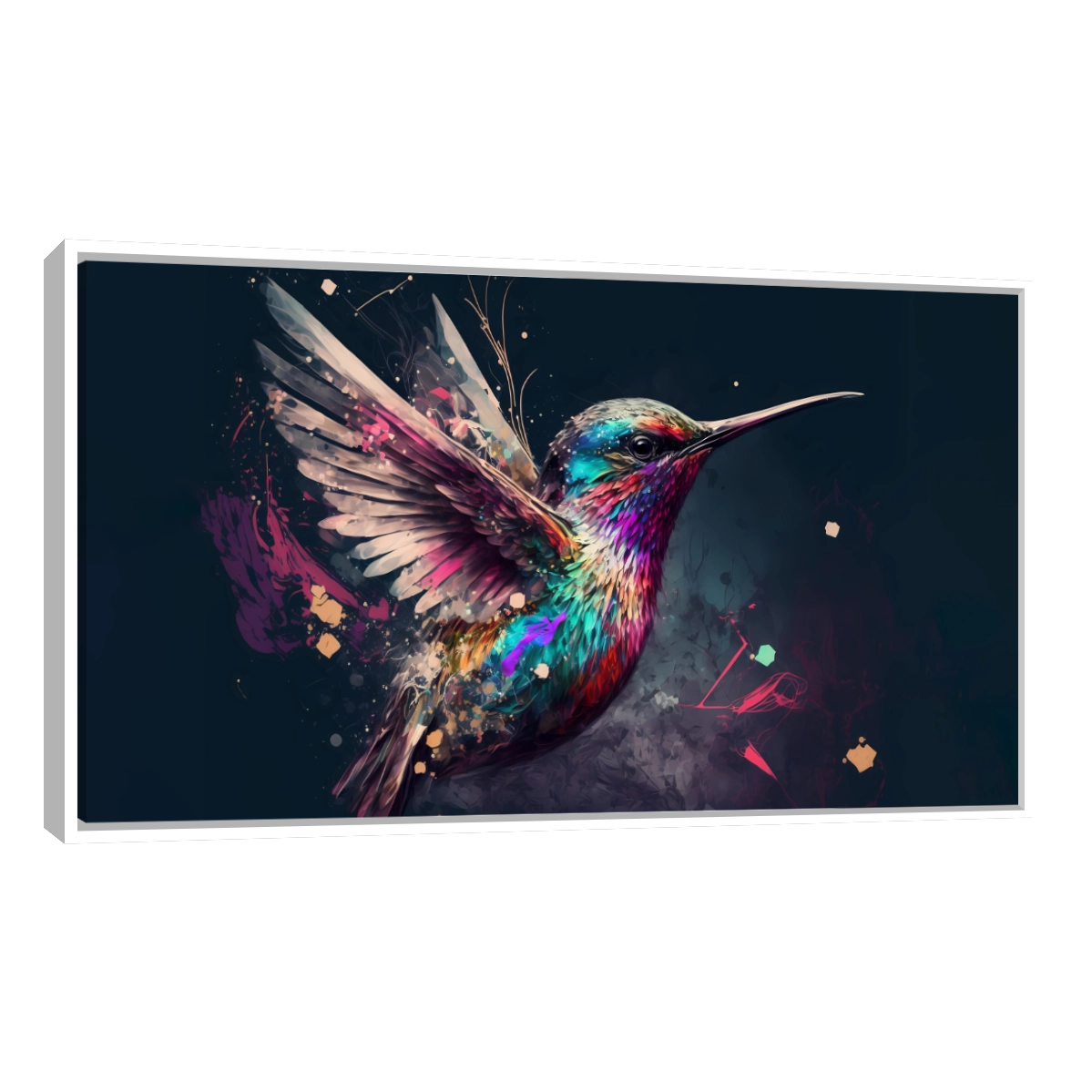 Colibri Colorido