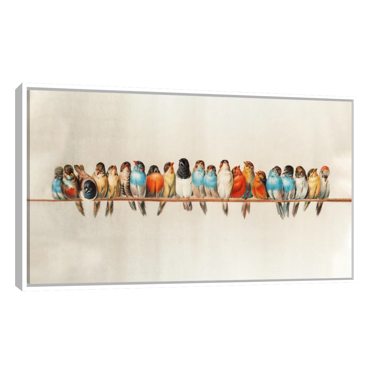 Percha de Aves Por Hector Giacomelli