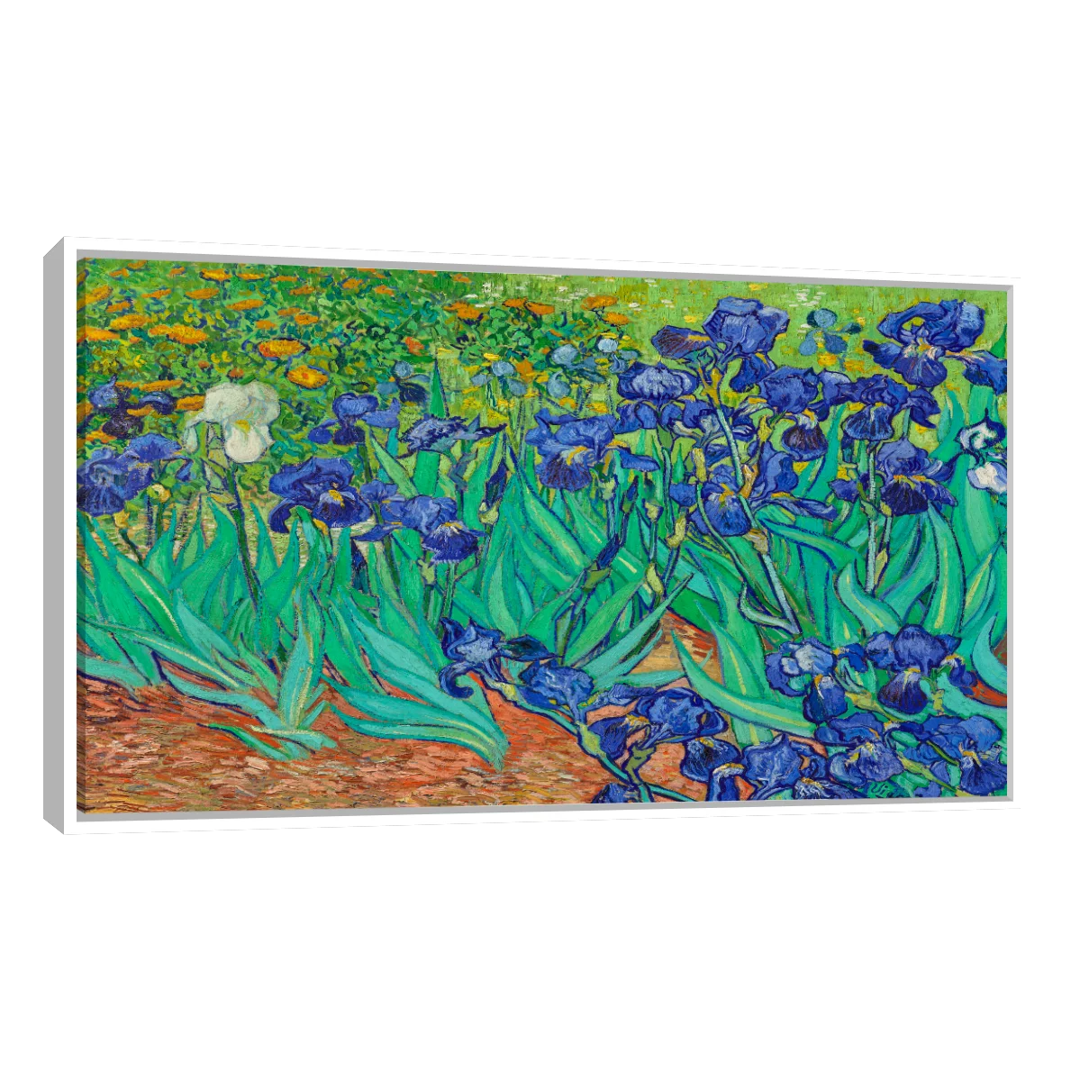 Arte Lirios Por Vincent Van Gogh