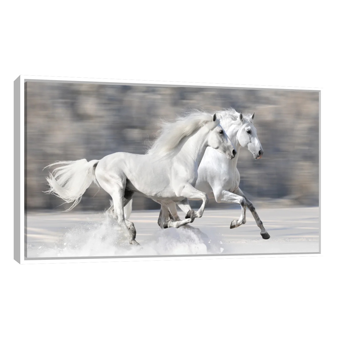 Caballos Blancos Corriendo