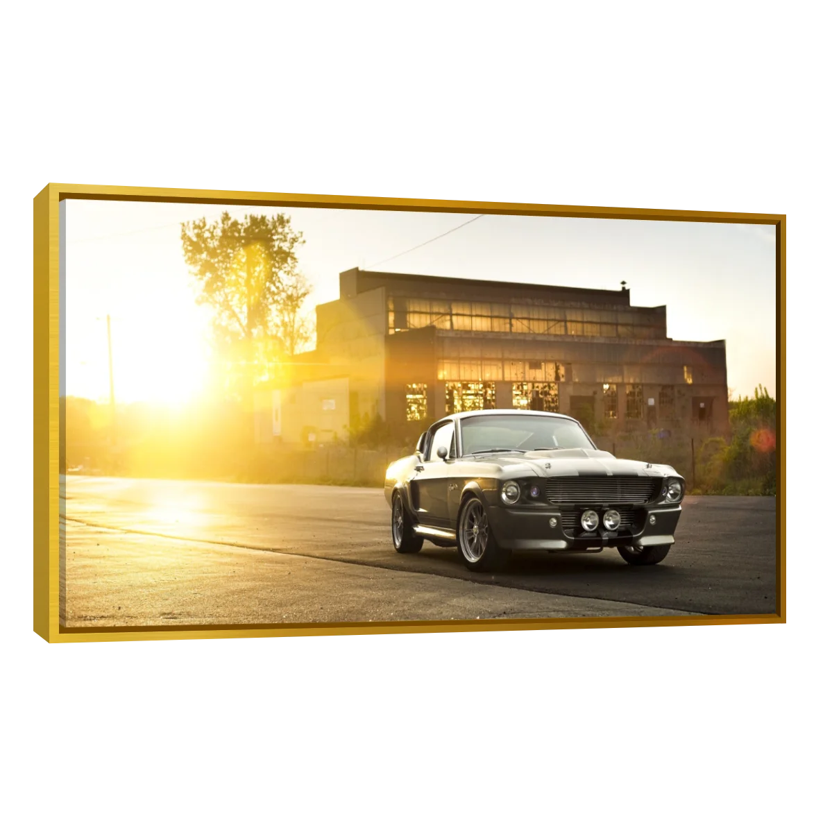 Mustang GT500 Aterdecer