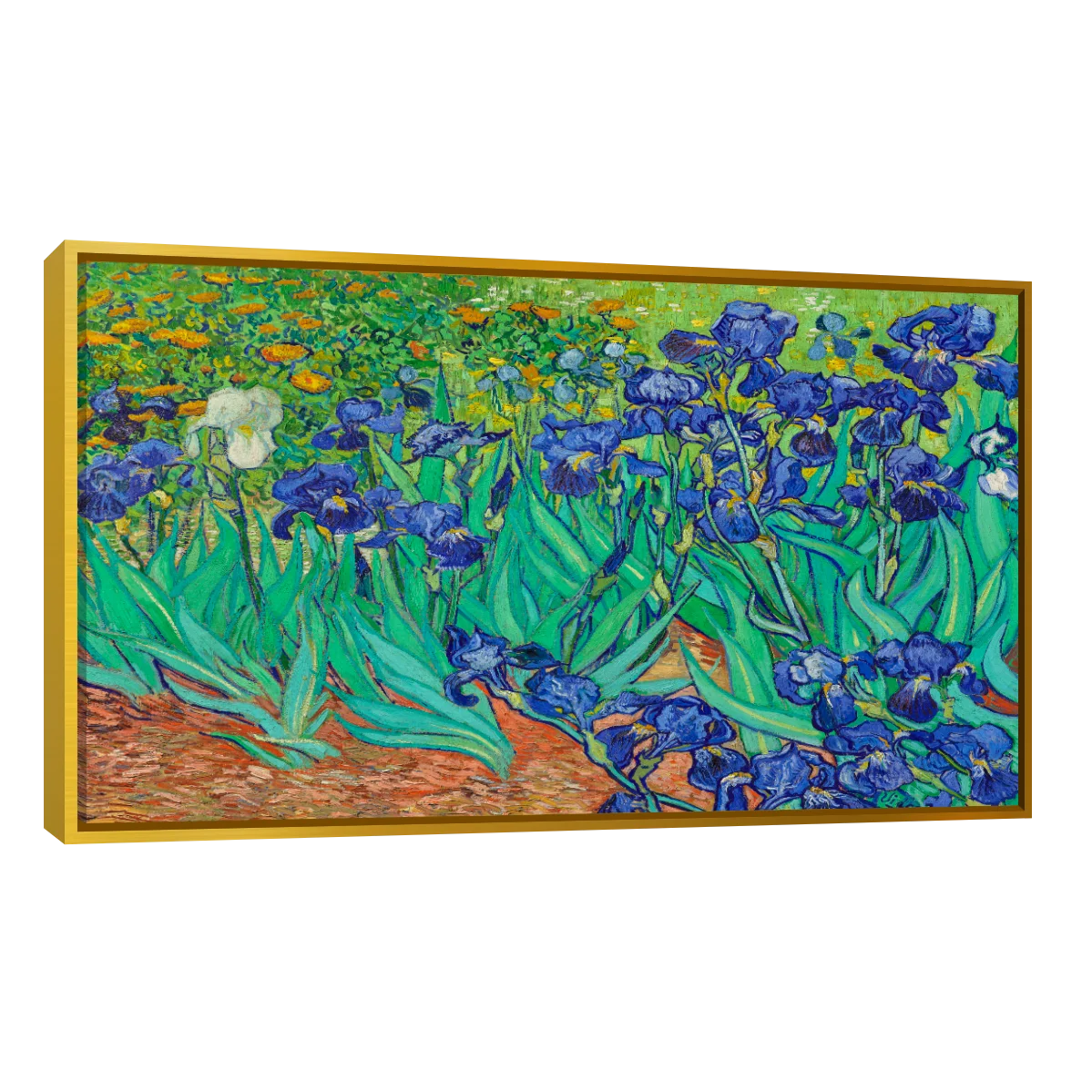 Arte Lirios Por Vincent Van Gogh