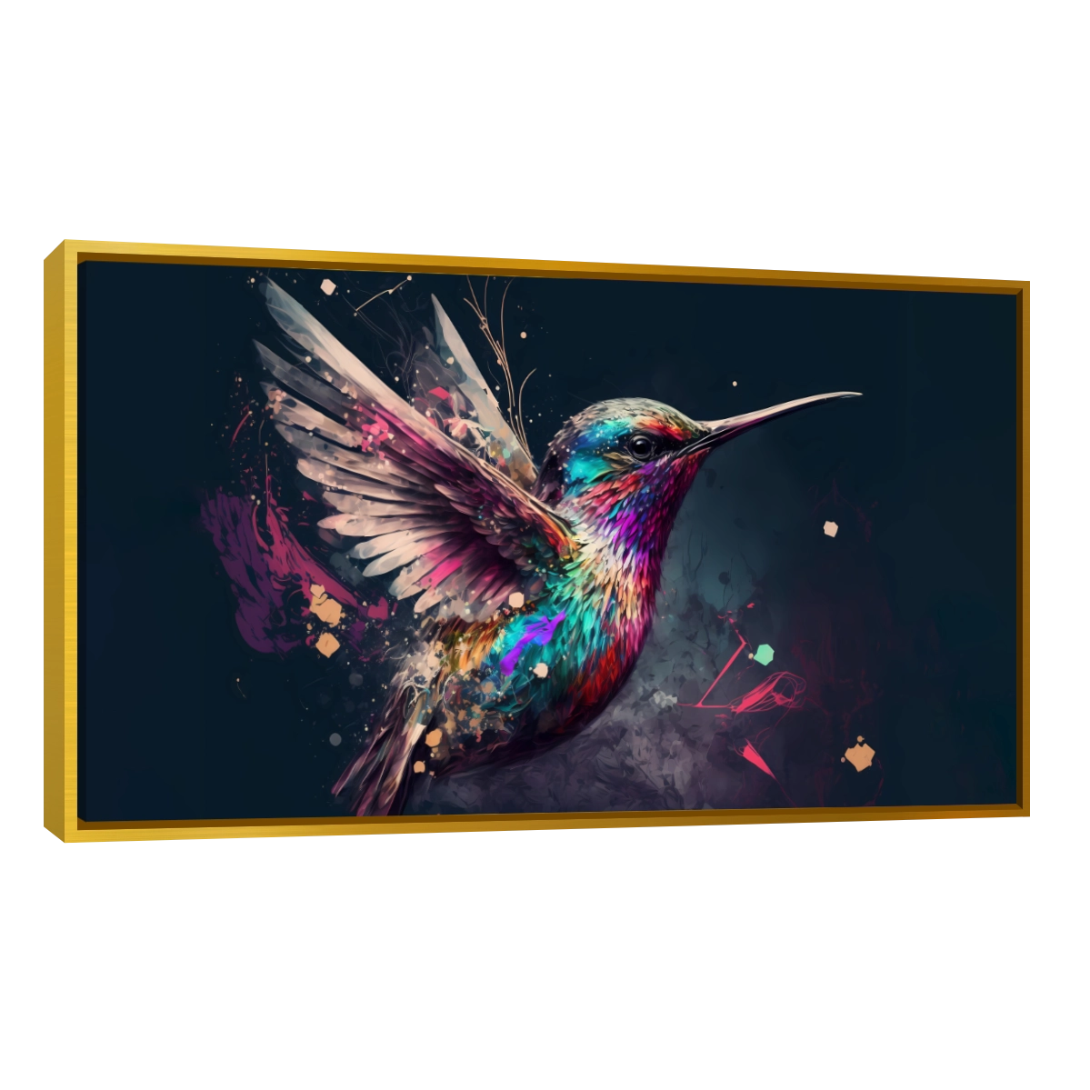 Colibri Colorido