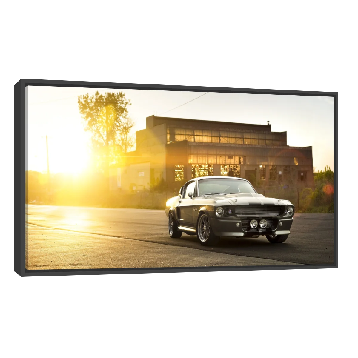 Mustang GT500 Aterdecer