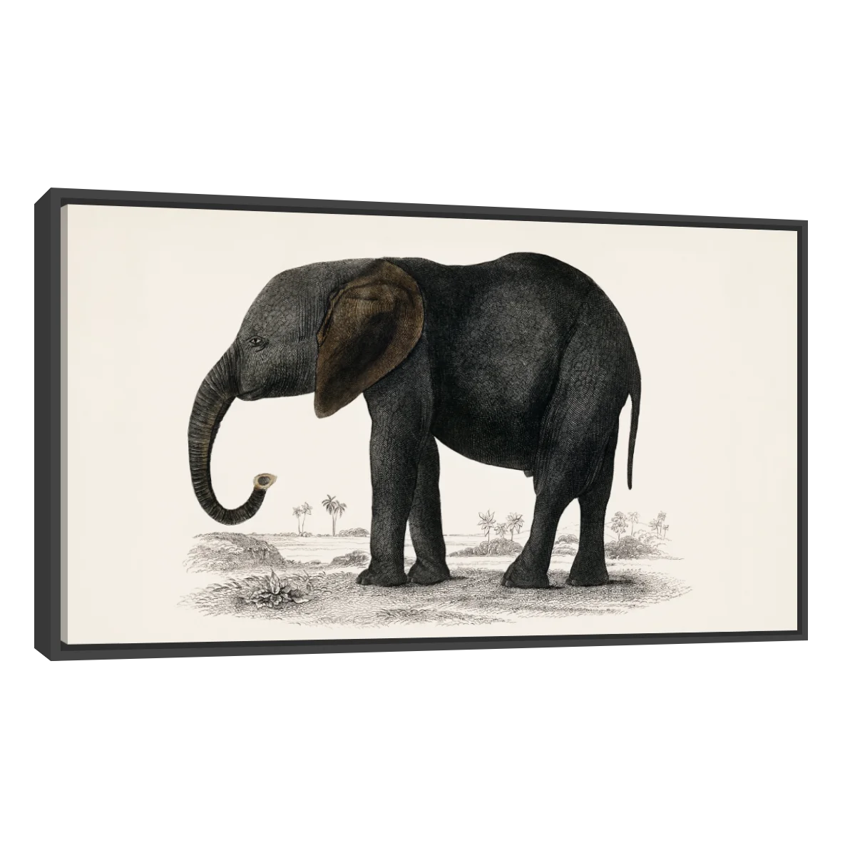 Historia De La Tierra Y La Naturaleza Animada Por Oliver Goldsmith