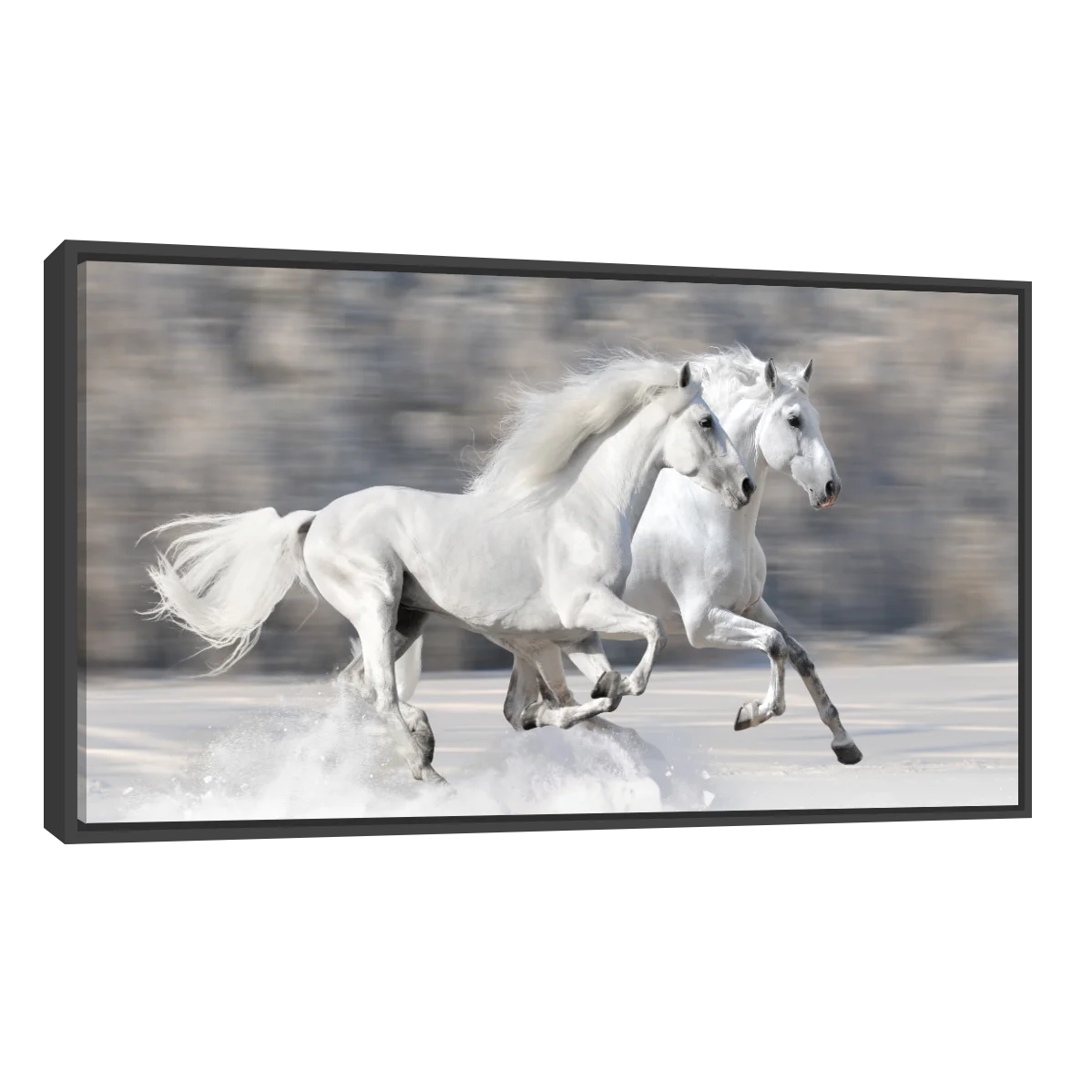 Caballos Blancos Corriendo