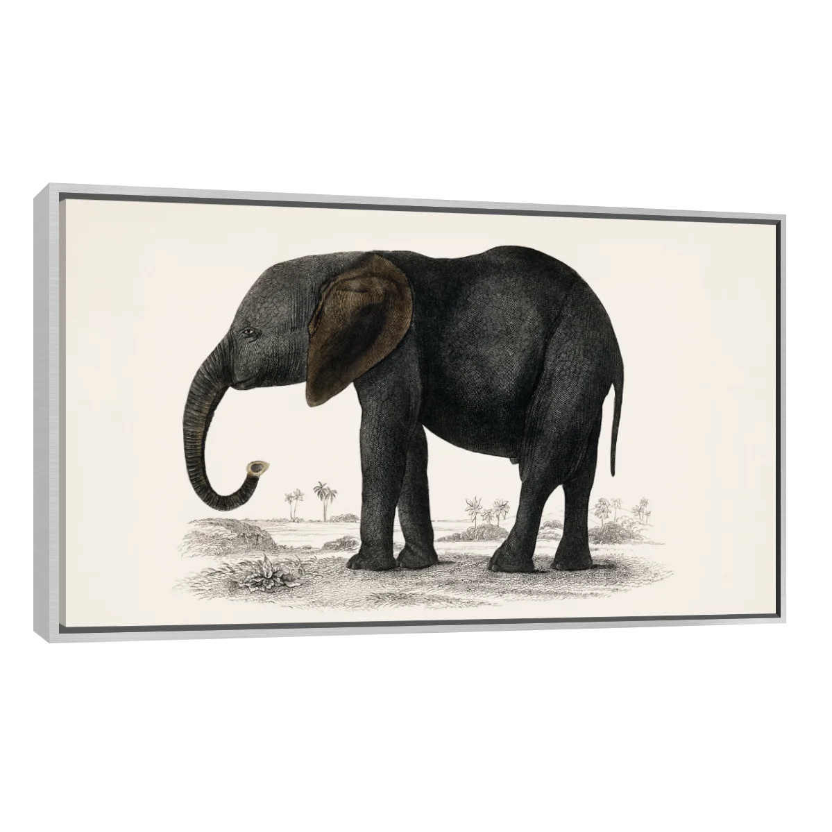 Historia De La Tierra Y La Naturaleza Animada Por Oliver Goldsmith