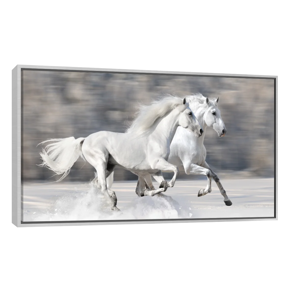 Caballos Blancos Corriendo