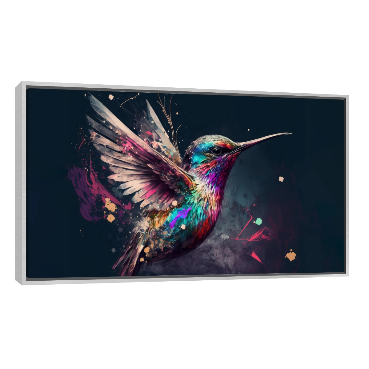 Colibri Colorido